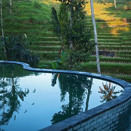 Be Bali Stay-2